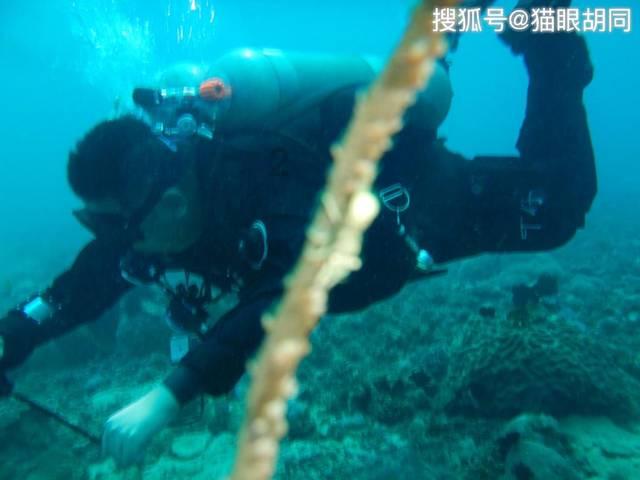 命运骰子